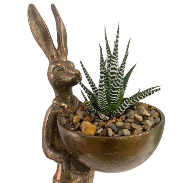 Hare - Image 2