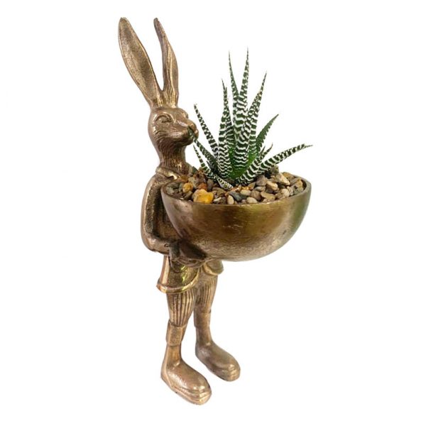 Hare