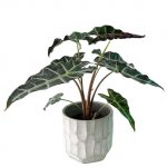 Carved Stone Pot - Image 2