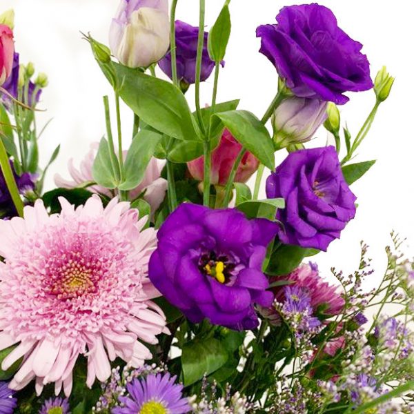 Sofia's Lavender - Image 2