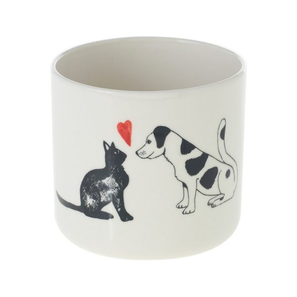 Cat and Dog Love