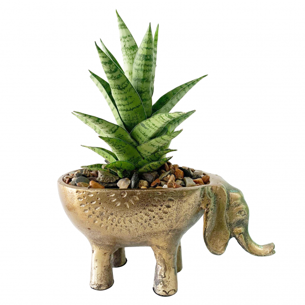 Ezzie Elephant