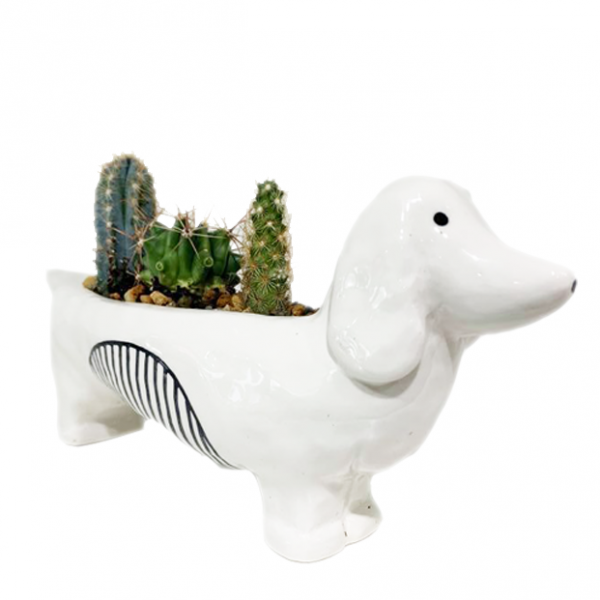 Chappy Planter - Image 2