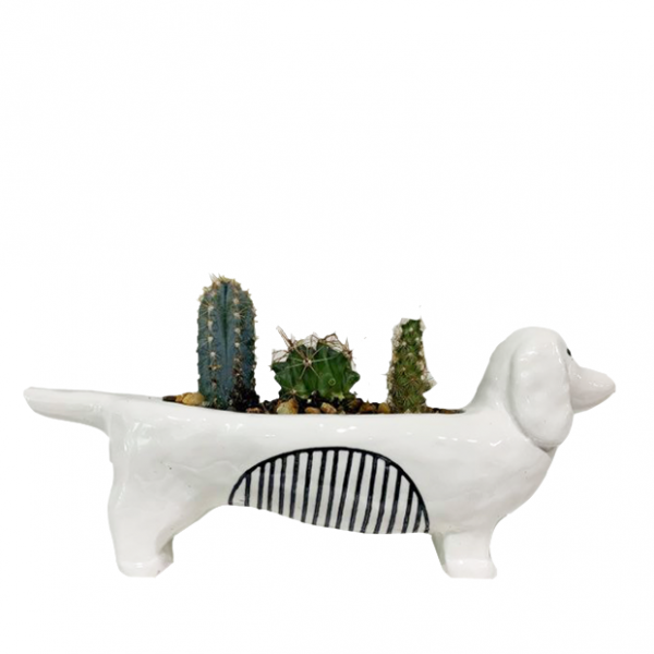 Chappy Planter