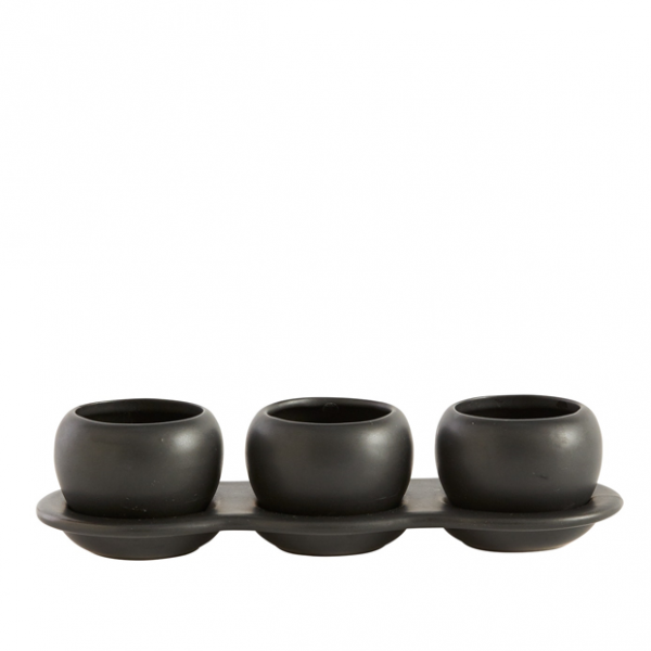 Three Succulents in Otto Pots - Image 2