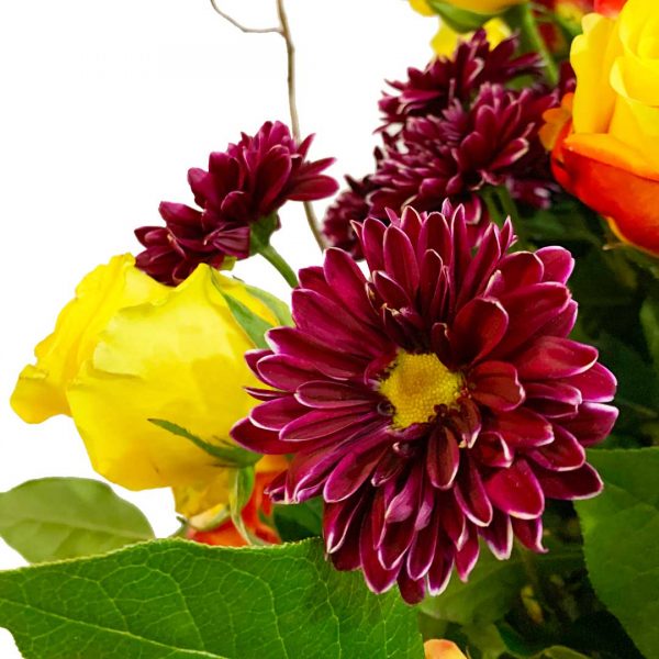 Rising Roses - Image 5