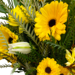 Shinning Daisies - Image 2