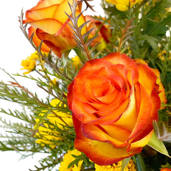 Cheerful Yellow - Image 3