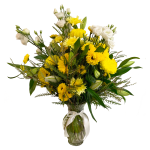 Shinning Daisies