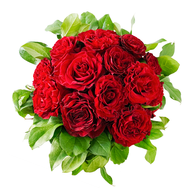 Roses in a Red Truck - Image 4