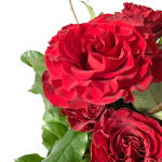 Hugs and Kisses Arrangement - Image 3