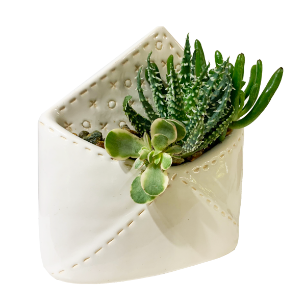 Plant Love Letter - Image 4
