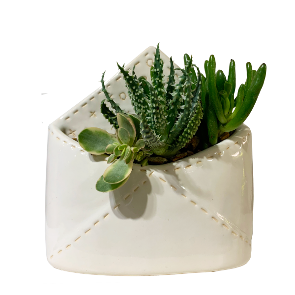 Plant Love Letter - Image 3
