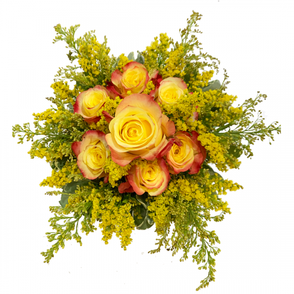 Sparkling Roses in Pot - Image 2