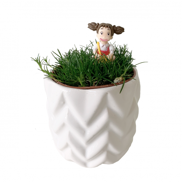 Irish Moss with Toy - Image 6