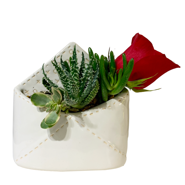 Plant Love Letter