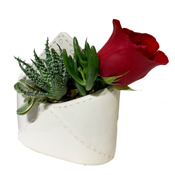 Plant Love Letter - Image 2