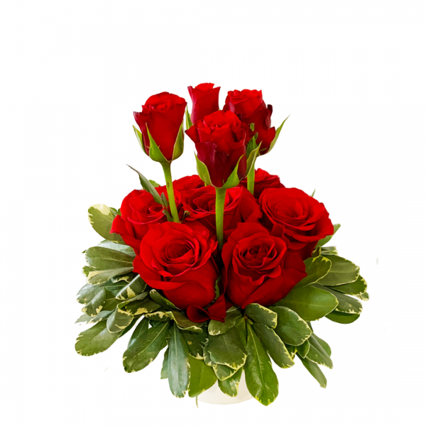 Roses in a Pot