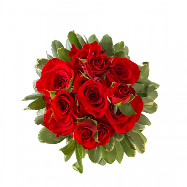 Roses in a Pot - Image 2