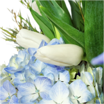 Blue Extravaganza - Image 3