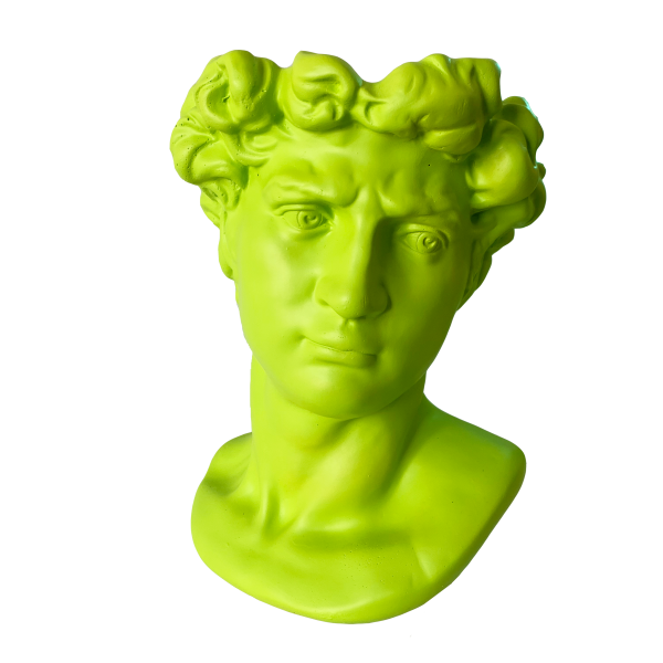 Man Bust Planter - Image 3