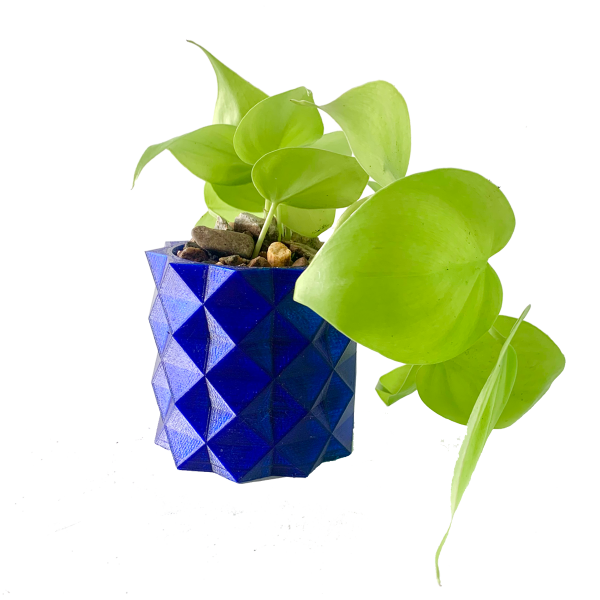 Blue Alligator Pots - Image 7