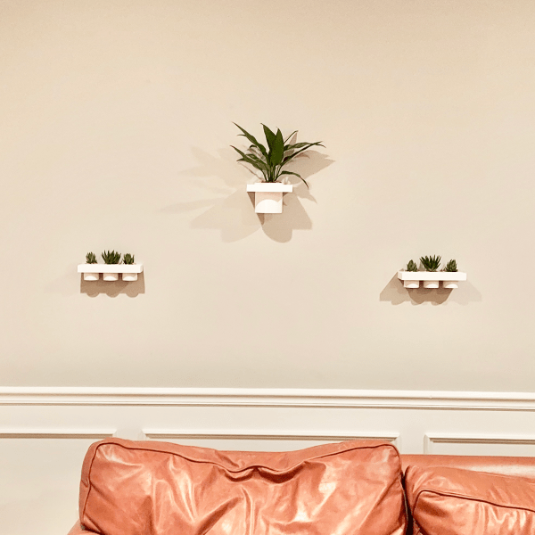 Wall Shelf with Pot - Image 4