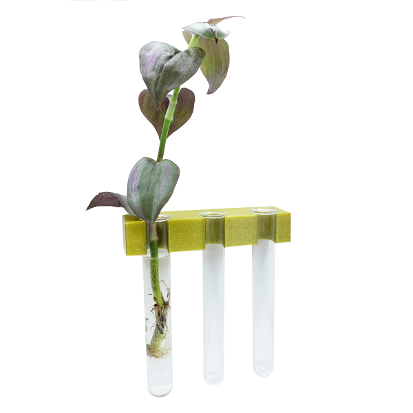 3 Test Tube Propagation Station: Wall - Image 2