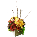 Fall in a Box