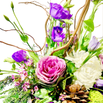 Spring in the Fall - Image 2