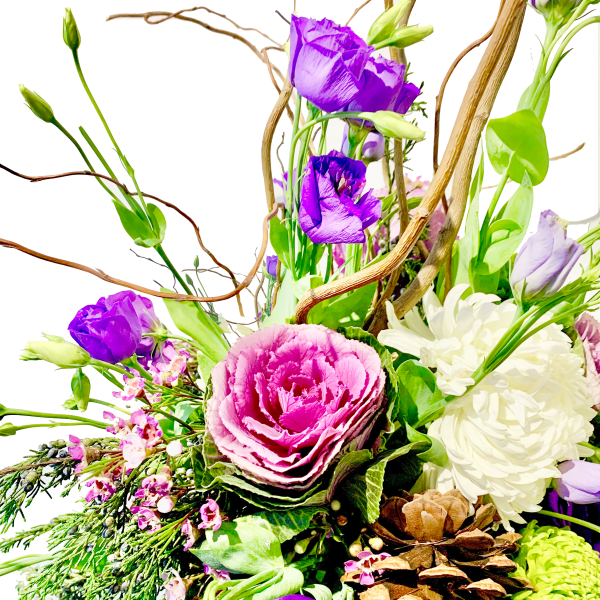 Spring in the Fall - Image 2