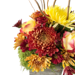 Fall in a Box - Image 2