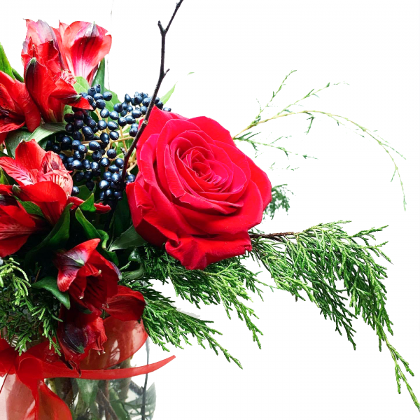 Wintery Red - Image 2