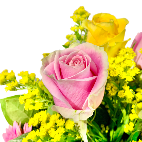 Rays of Pinks & Yellows - Image 4