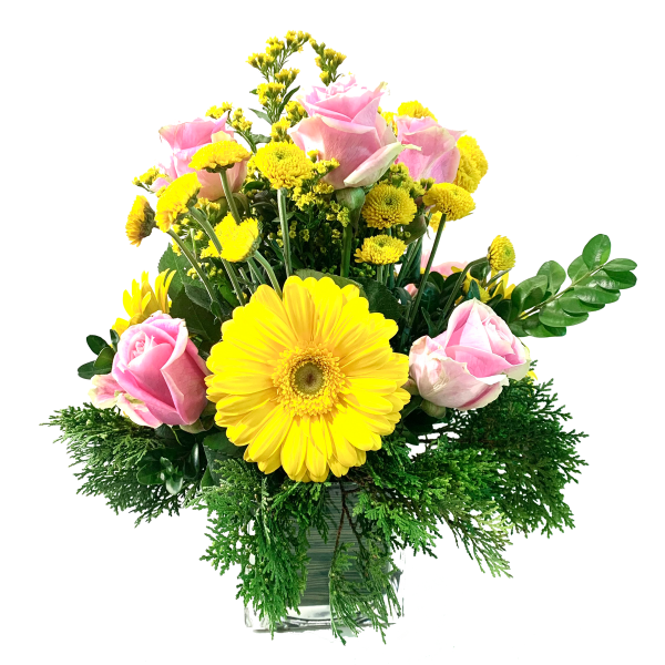 Yellow Daisy Gerbera - Image 2