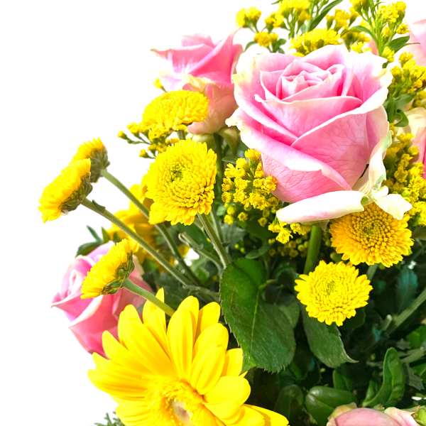 Yellow Daisy Gerbera - Image 3