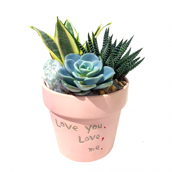 Terrarium Punctuation Love - Image 2