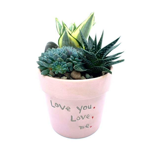 Terrarium Punctuation Love - Image 4