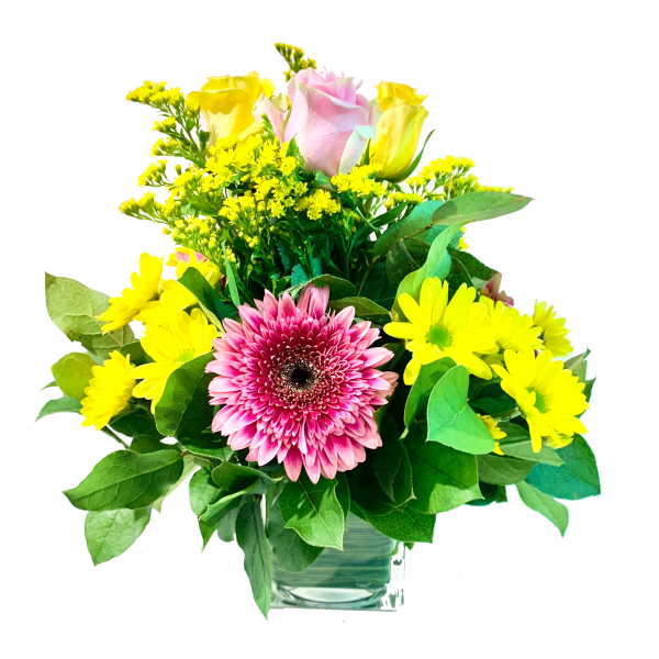 Rays of Pinks & Yellows - Image 2