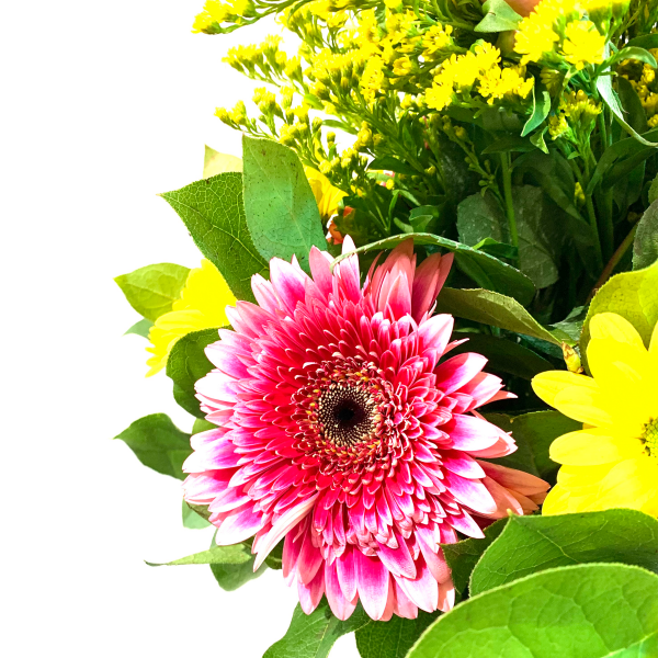 Rays of Pinks & Yellows - Image 3