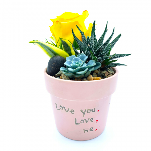 Terrarium Punctuation Love - Image 3