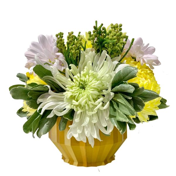 Pillar Compote - Image 2