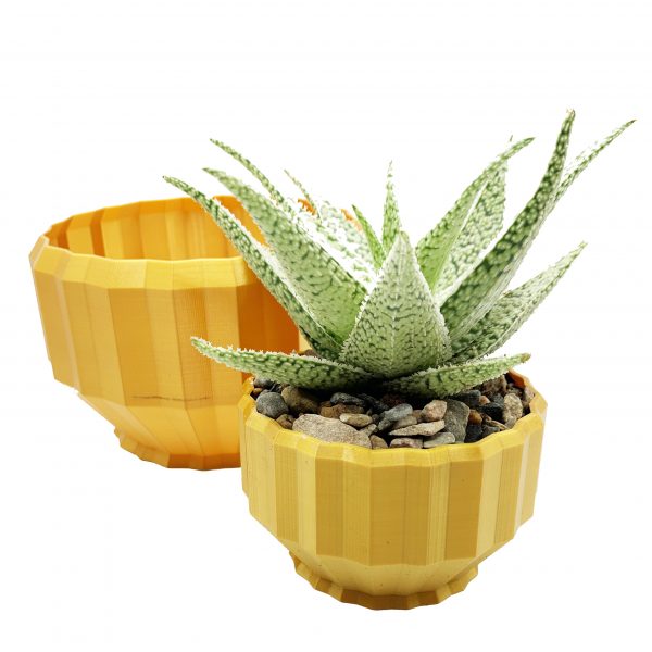 Pillar Compote