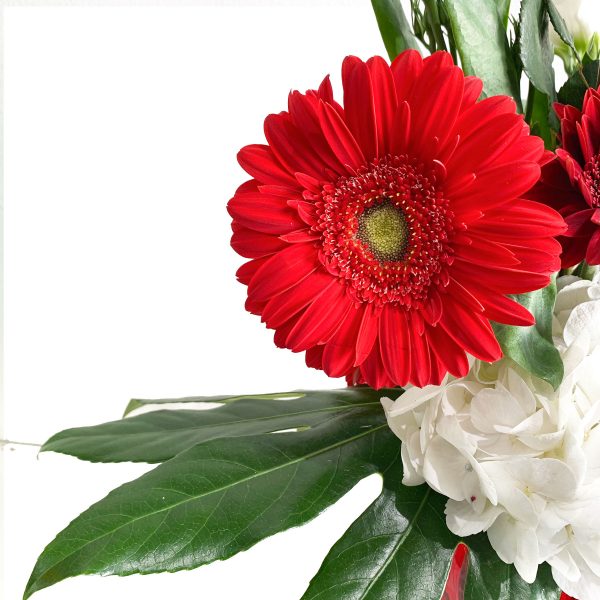 Shades of Reds - Image 2