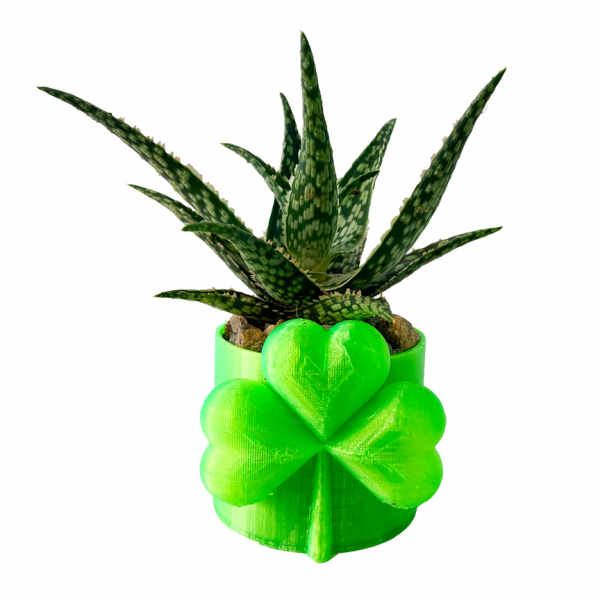 Shamrock Pot