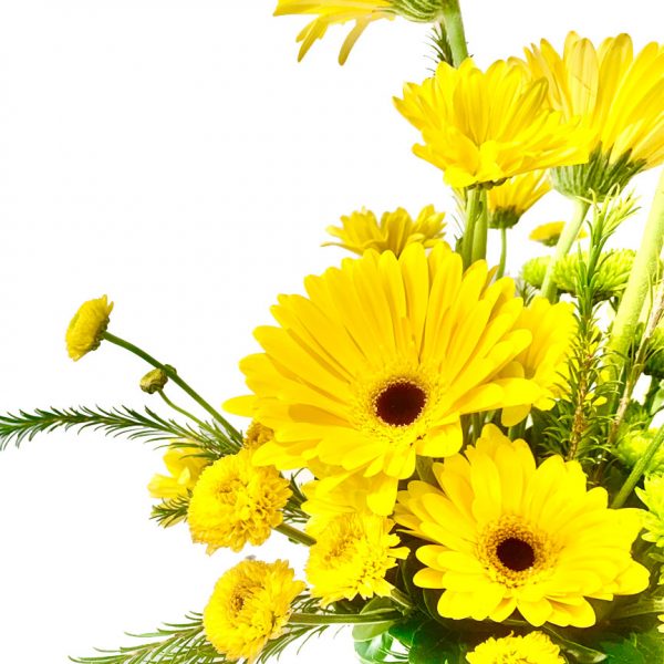 Yellow Spring - Image 2