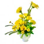 Yellow Spring