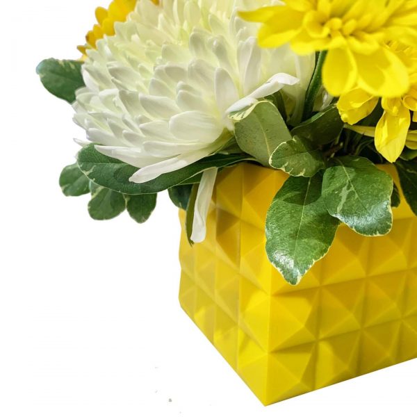 Vibrant Yellow - Image 3