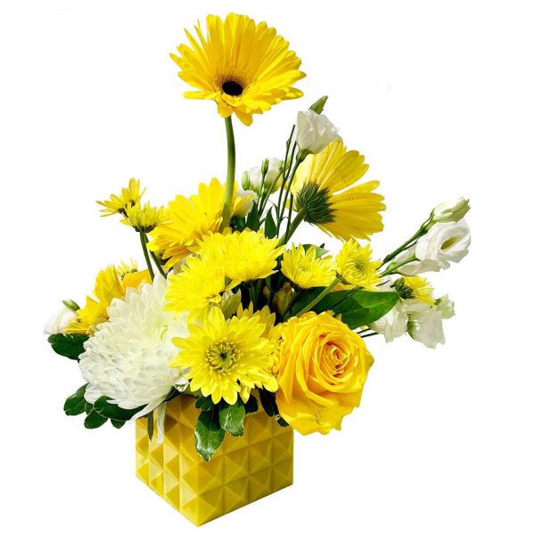 Vibrant Yellow - Image 2