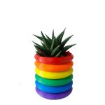 Rainbow Rings - Image 8